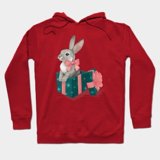 The Velveteen Rabbit Hoodie